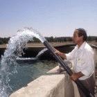 irrigationsyria.jpg